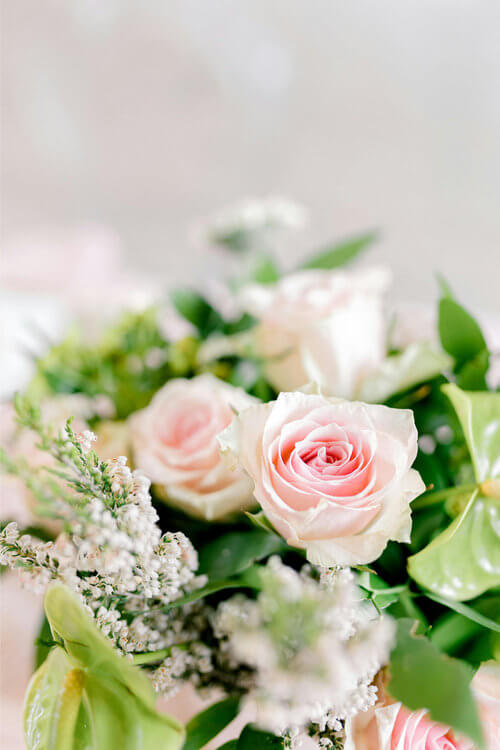 Experience Tiny Love Photography